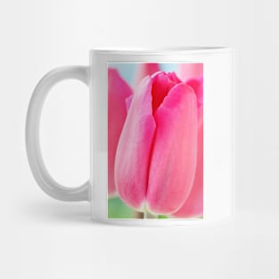 Tulipa  'Barcelona'  AGM  Tulip  Triumph Group Mug